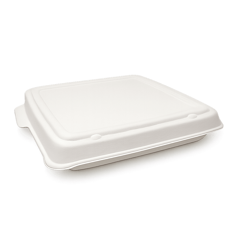Sugarcane Takeaway Container – Lid Square Tray 9" (Carton of 200)