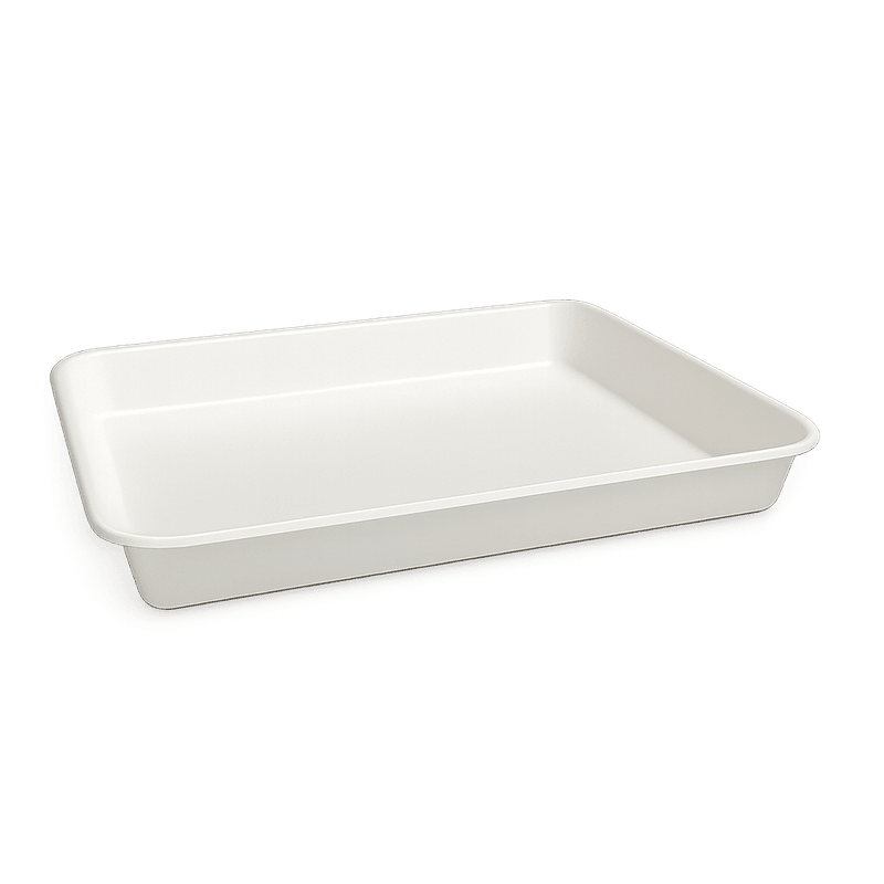 SUSHI TRAYS WITH LIDS